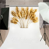 Aperturee - Aperturee Golden Feather Boho Copy Ornaments Sweep Backdrop